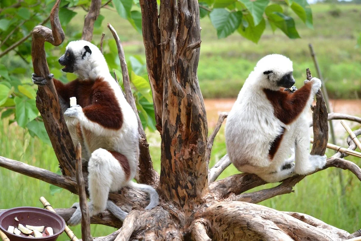 Excursions Madagascar